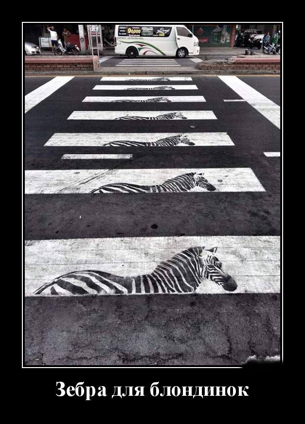 Podborka luchshikh demotivatorov 496 031